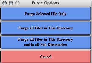 Click the filename on which to operate. With this filename highlighted, choose Data -> Purge Processed. The Purge Options box should appear (Figure 67).