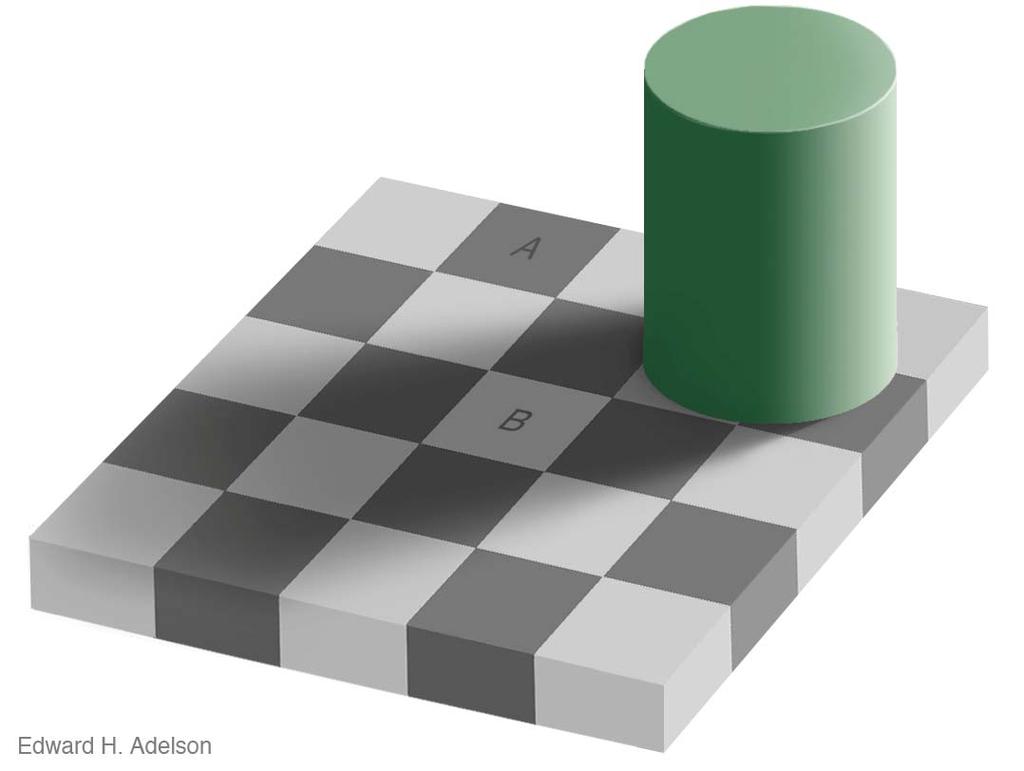 Elements of Visual Perception Perceived
