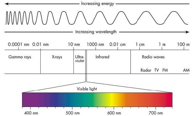 Light and the Electromagnetic Spectrum Light is just a particular part of the electromagnetic spectrum that can be