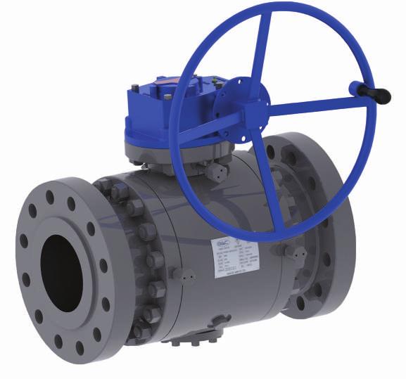 Forged Body Trunnion Mounted Ball Fastwell produces a full line of API-6D Trunnion Mounted Ball valves in both Three- Piece Forged and Two- Piece Cast Design.