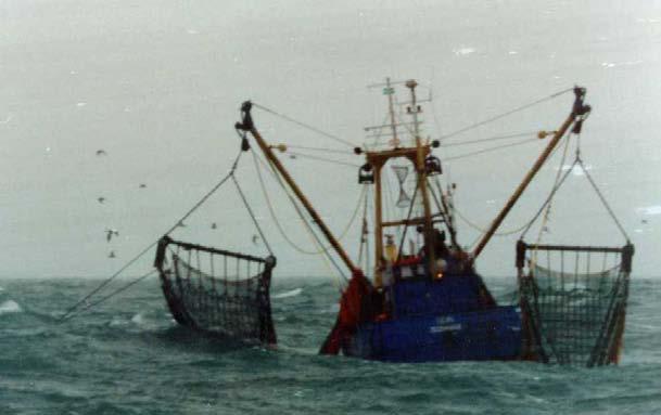 trawler (Tyco Telecommunications 2009) Cable damaged by an anchor