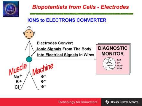 The electrodes are transducers that detect the minute ionic currents associated with the biopotenials. They can be thought of as an ion to electron converter.