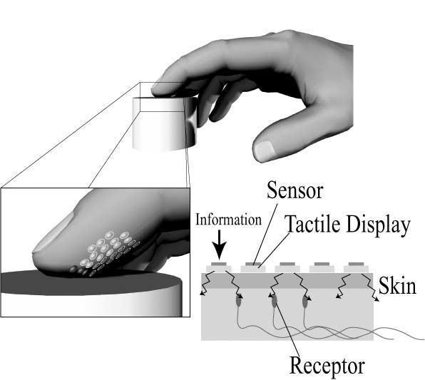 Figure 3. Prototype of SmartTouch: Visual image (black and white stripes) is captured by optical sensors and displayed through electrical stimulation. Figure 2.
