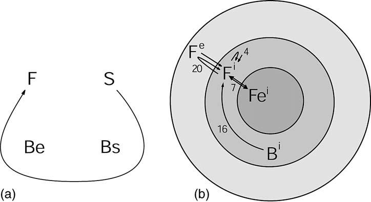 Figure 12 Reformulation type 3: (a) original, (b) situated FBS framework processes as described for the construction of S i (although they have been studied less for behaviour than for structure).