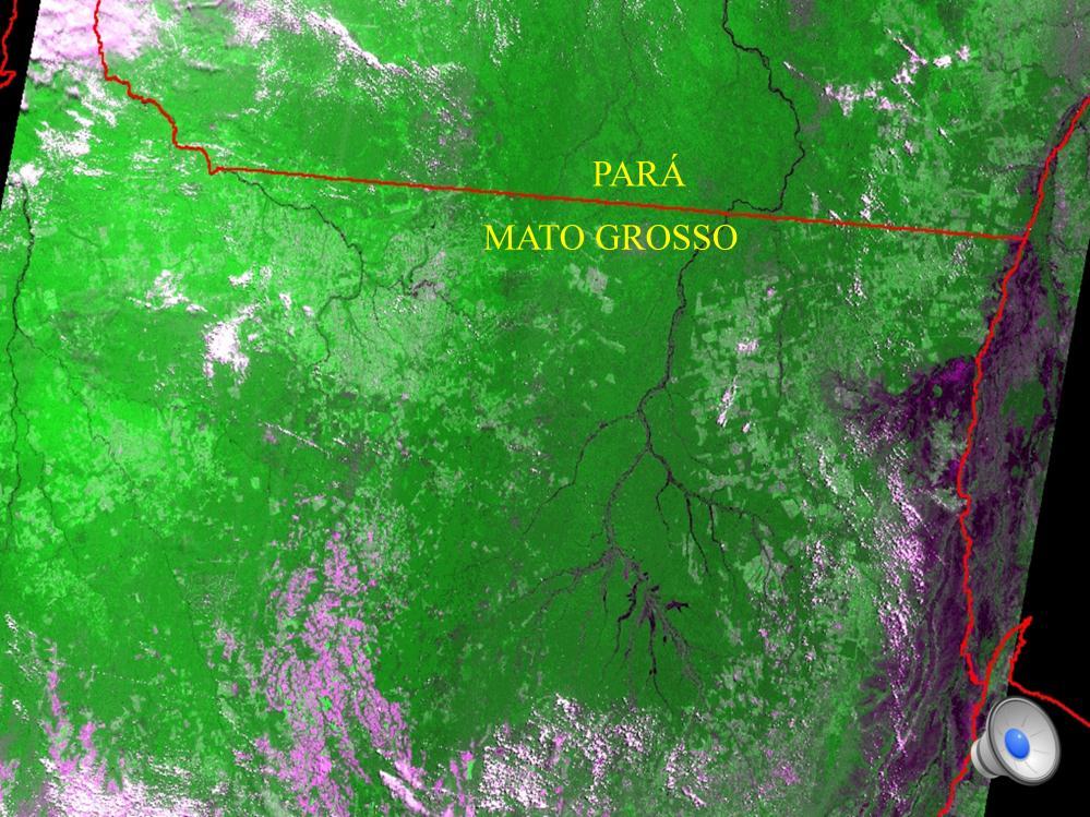 This WFI image is over forest and agricultural lands in the south of Amazon basin.