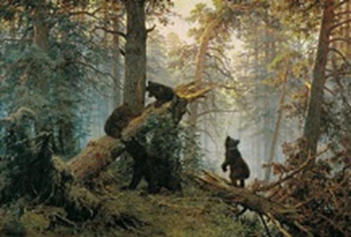MORNING IN A PINE FOREST The Morning in a Pine Forest is a painting by Russian artists Ivan Shishkin and Konstantin Savitsky.