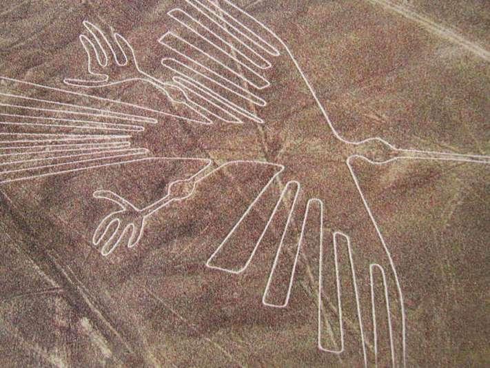 The Nazca Lines are a series of large ancient geoglyphs (a large design on the ground) in