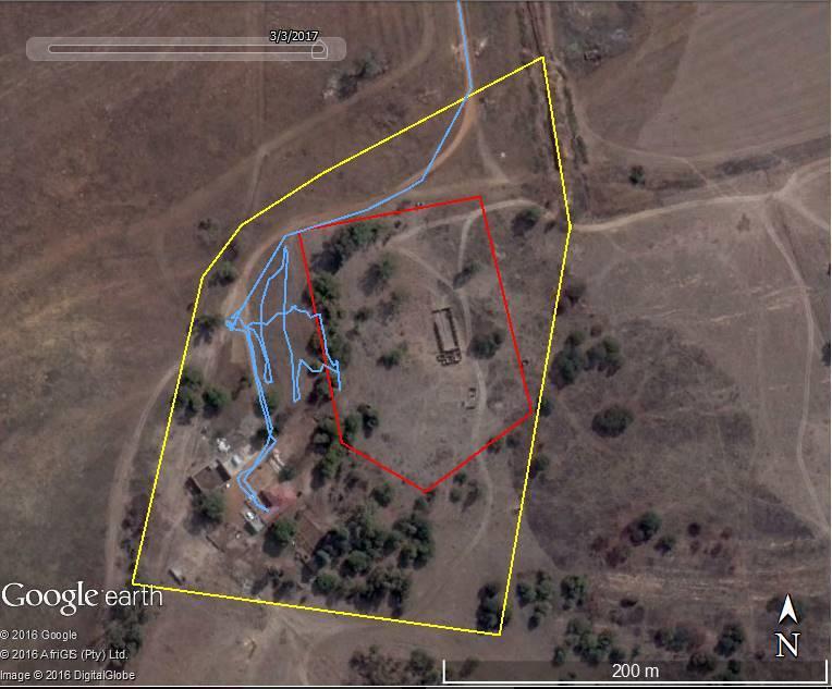 Figure 7: Aerial view of the property (yellow polygon) and study area (red polygon) showing the survey tracks (blue lines). Note that the tracks show the survey of the original site. 6.1.