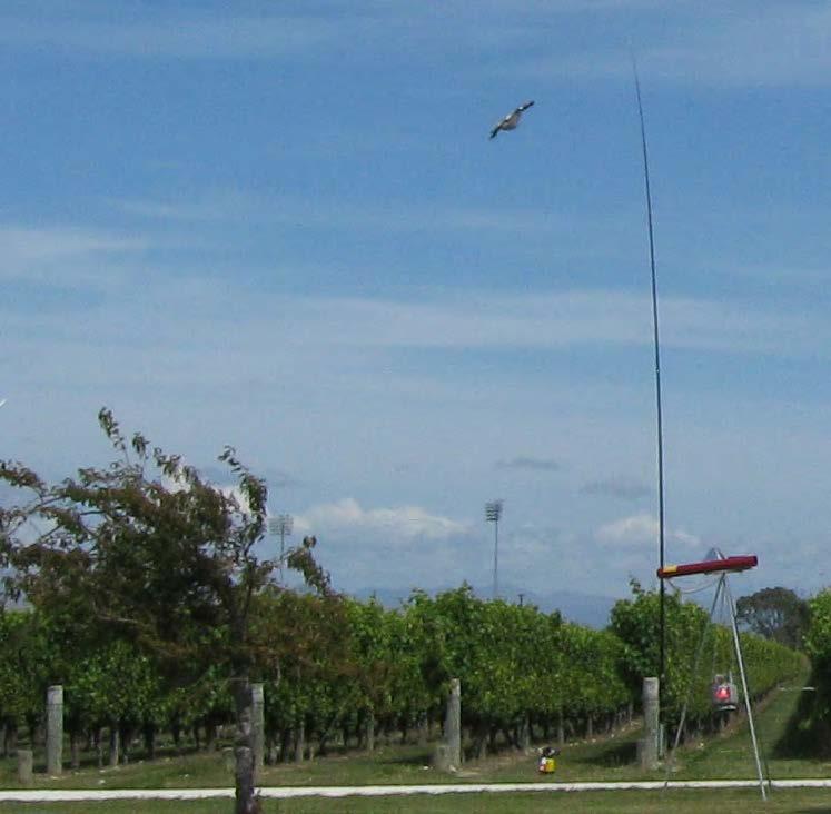 Why Predator Kites are great for bird control Realistic - these kites actually fly, appearing like a real bird of prey. A great way to add effect to a sound deterrent system.