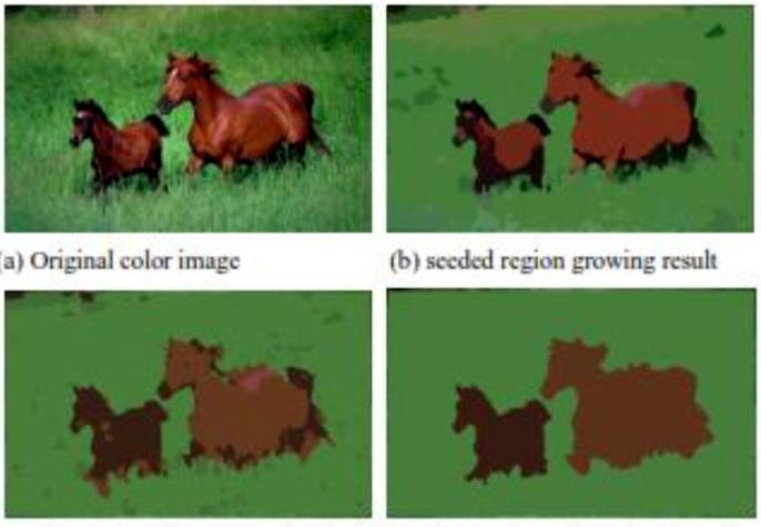 Stages of Automatic Seeded Region Growing[21] Jia -Nan Wang [18] proposed an automatic seeded region growing algorithm for color image segmentation.