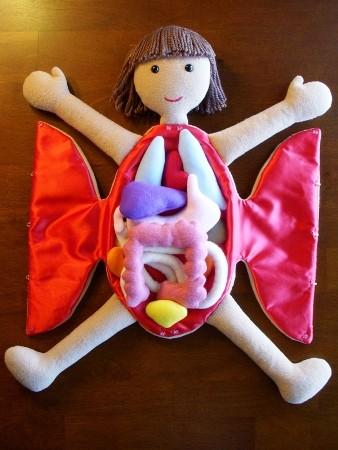 Anatomy Doll Pattern by Cat Carlisle 1 Printing Instructions: This file is formatted to print on 8.5 x11 Letter paper. If printed on other paper, the scale may be off. 1. Open the PDF file using Acrobat Reader.
