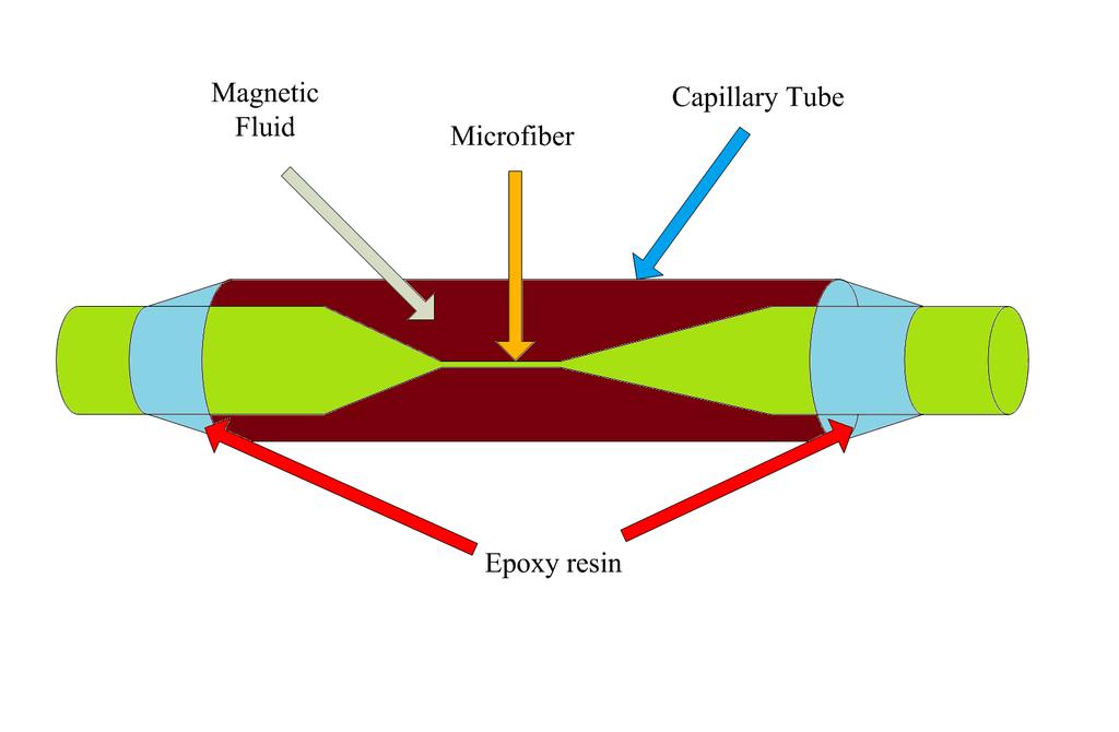 (a) (b) Fig. 1. (a) Schematic diagram of the proposed magnetic field sensor. (b) Optical microscope image of the MMI.