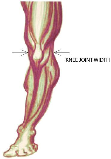 SIZING CHART: Measure your knee joint width