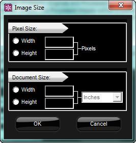 Chapter 1 : Getting started Resizing: You can also save one or several JPG images at a specific size by assigning a width or height. To do so, click on Resize.