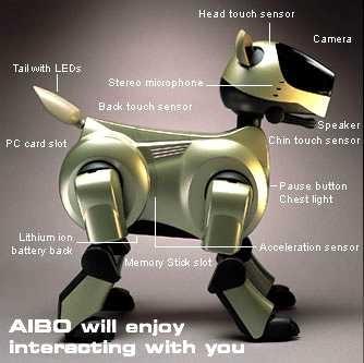 AIBO-Artificial Intelligence RoBOt -first sold on the internet in 1999 -recognizes voices
