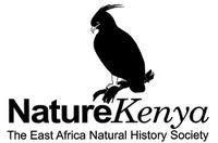 Kenya Bird