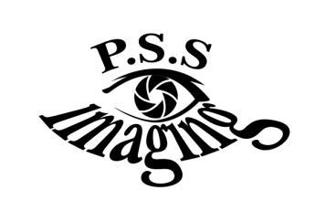 RE: Important Information Regarding Senior Portrait Sittings Dear Parents & Class of 2014 PSS Imaging is pleased to announce that we have been selected to provide your Senior Class with the best