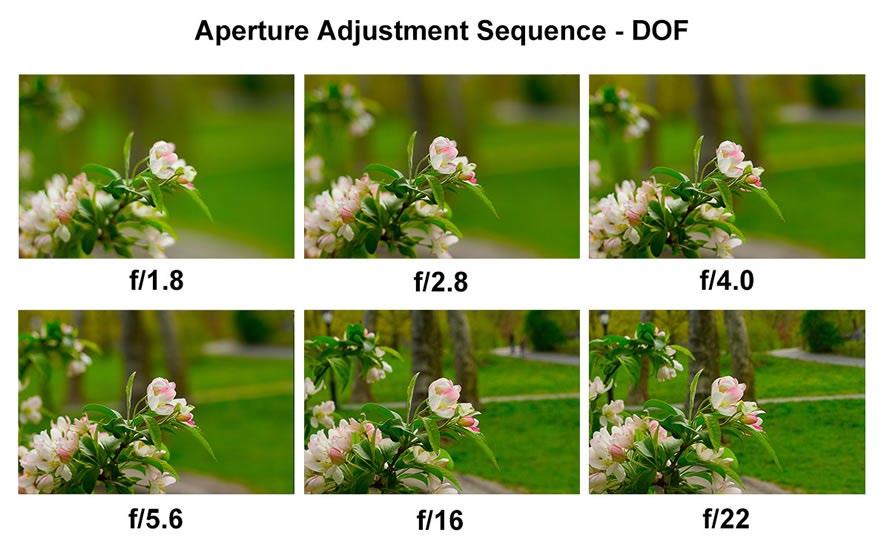 Figure 2.3. With automatic changes to ISO and shutter speed to maintain proper exposure, this sequence shows how DOF is affected by aperture adjustments (we ve used f/1.8 but skipped f/8.