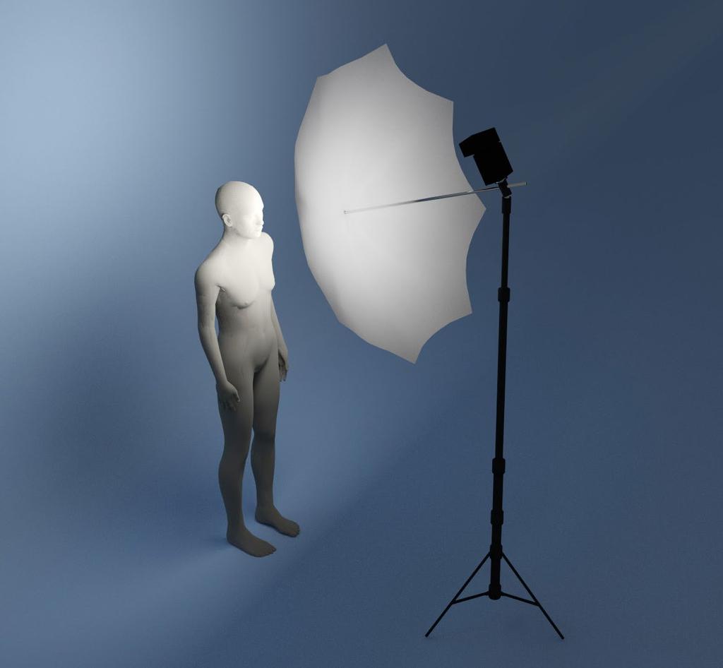 The Relative Size of Your Light Affects Contrast A large light source, relative to your subject, will provide a wider, smoother transition from light to shadow.