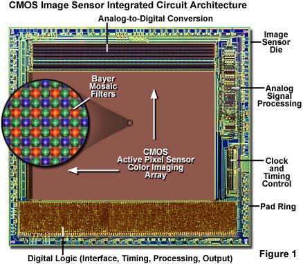 Image sensors Besides brightness, can also capture an