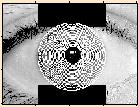 Its applied to images with objects of different shapes, in this particular case to find the circular edges of the iris and pupil human showing remarkable results, however, this detection criterion,