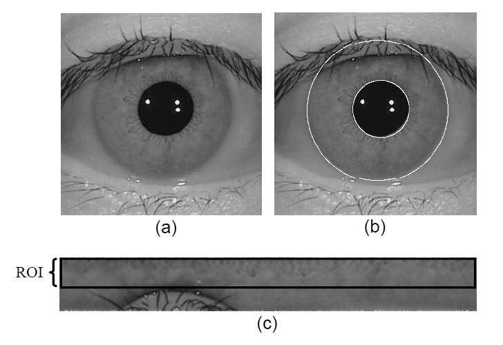 218 W. Y. Han et al: Iris Recognition based on Local... recognition. The rest of paper is organized as follows. We will briefly introduce the proposed method for iris recognition in Sec. 2.