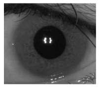 3 Iris biometric system In reference to an iris