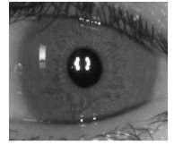 NIR camera that acquires an image of an eye in the