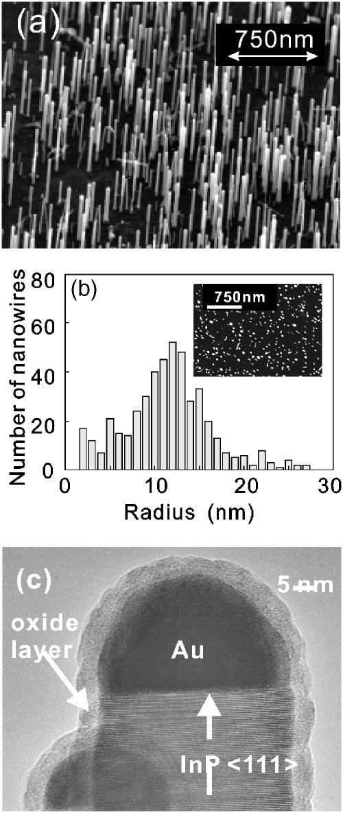084318-2 Kawamura et al. J. Appl. Phys. 97, 084318 2005 FIG. 2. PL spectra of nanowires and InP 111 B substrate.