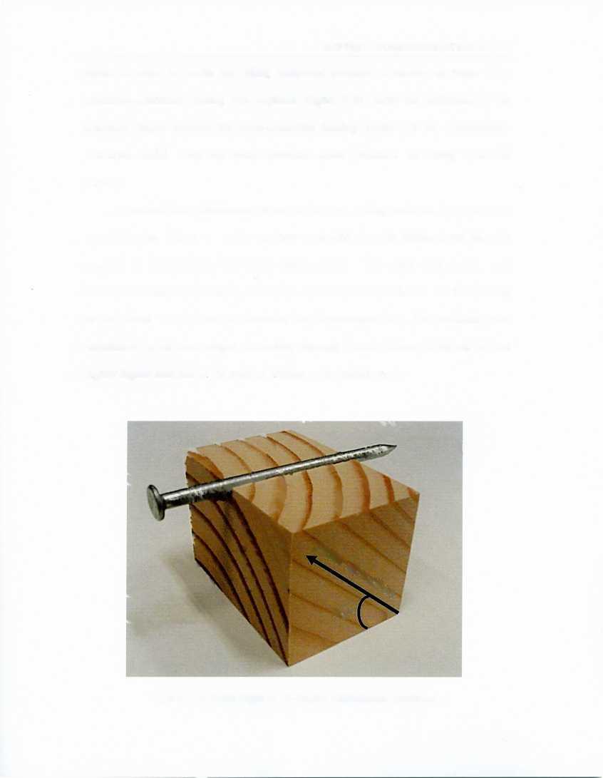 CHAPTER 5. WOOD FOUNDATION MODEL shank. In order to model the tilting behaviour properly, a model run under force (pressure)-controlled loading was required. Figure 5.