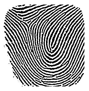 needed for fingerprint recognition) e.g. terminations, bifurcations, its directions and the number of ridges crosses the line between the minutiae.