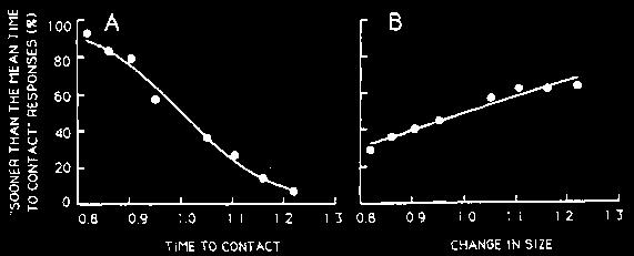 adaptation to missing sensory input perceived speed of locomotion shows impressive plasticity: surprising adaptation effects to extended treadmill exercise (Pelah and Barlow 1996) measuring perceived