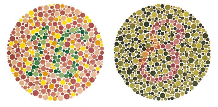 Theories of Color Vision Trichromatic