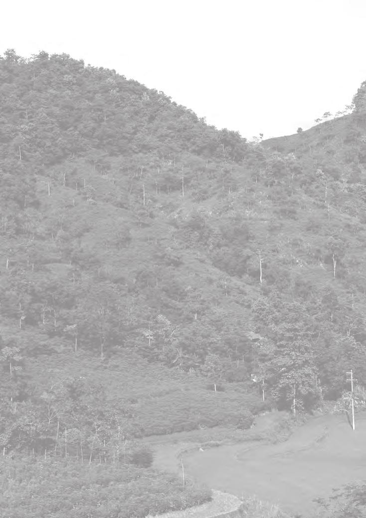 www.tft-forests.org 3 TỔNG QUAN VỀ NGÀNH LÂM NGHIỆP VIỆT NAM 1.