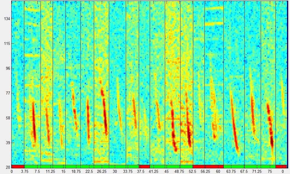 Blue whale D calls Blue whale D calls (Figure 3) were detected using an automatic algorithm based on the generalized power law (Helble et al., 2012).