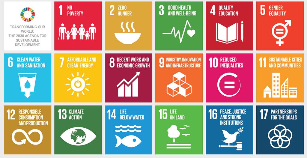 The Sustainable Development Goals (SDGs)