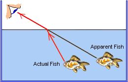 Refraction It is difficult to dive for coins in a pool or spear fish in a lake because the light