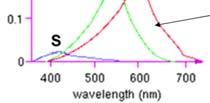 one type of cone y Sensitivity Three kinds of cones Wavelength (nm) Possible evolutionary pressure for developing receptors for different wavelengths in