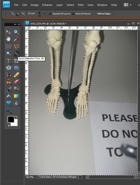 tool to isolate the skeleton from the background.