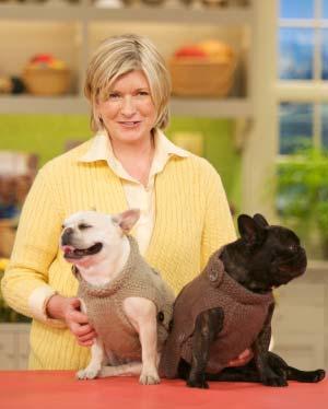 Show, this dog sweater is shown on Sharkey, left.