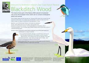 Public talks, presentations and surveys have been a regular feature of the project, allowing BirdWatch Ireland to address any concerns members of the local community might have held and to gauge
