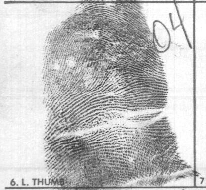 Raw Data - Fingerprint