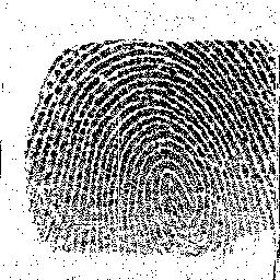 fingerprint Digital