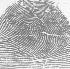 Fingerprints from