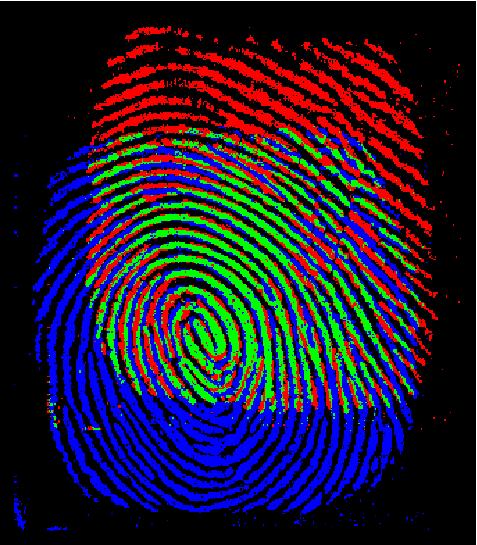 Fingerprint Alignment T1-1 T1 T2 ο T1-1
