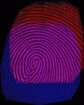 w05-fingerprints