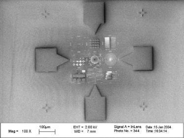 demonstration. Figure 4 shows an SEM image of the inner part of the pattern.