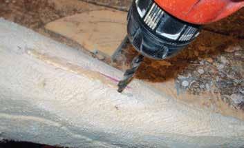 MUSKY: PAINTING THE FISH 10 Apply several coats of gesso as a primer. Use a large #12 brush. Sand between coats to remove any brush marks.