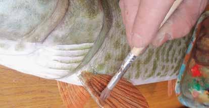 15 Add the spots and stripes to the sides of the musky. Refer to color reference photos to create a realistic pattern using the mixture from Step 13.