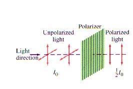 Light Polarization I.